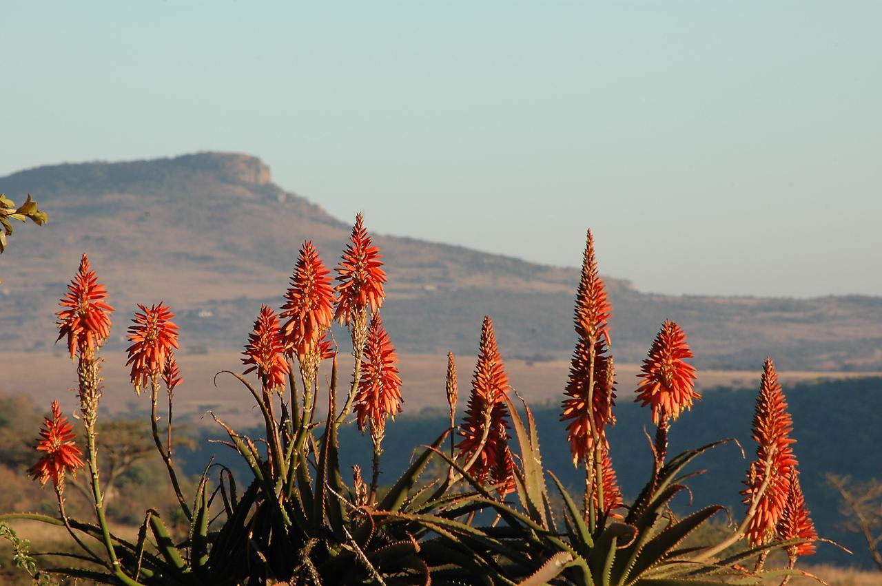 Fugitives Drift Guest House Rorkeʼs Drift 외부 사진